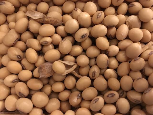 Fovic-Grain-Harvest-1.jpeg